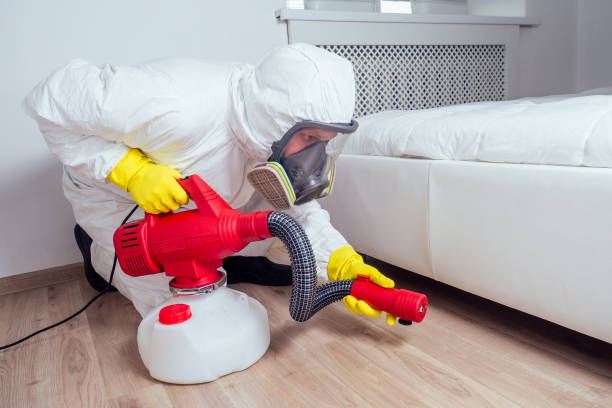 Best Real Estate Pest Inspections  in Waterville, NY